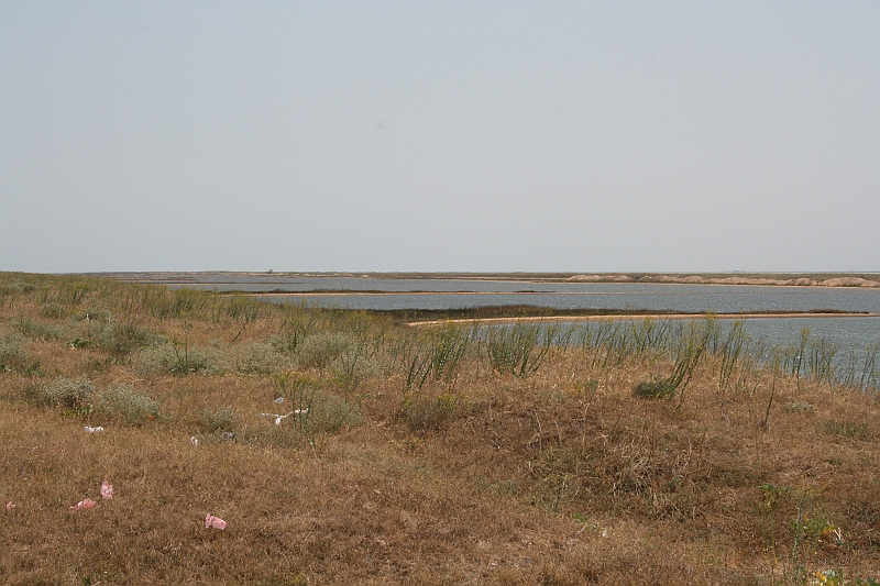 Original image